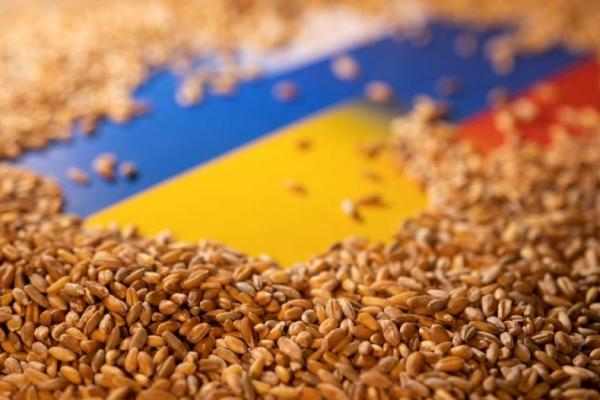 Larangan Impor Biji-bijian Ukraina Meluas untuk Lindungi Pasar Domestik