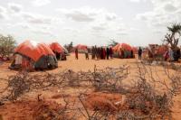 PBB: Harga Pangan Melambung, 250 Ribu Warga Somalia Terancam Kelaparan