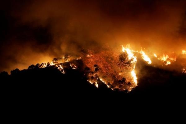 Kebakaran Hutan di Spanyol Selatan, 2.000 Warga Kota Dievakuasi