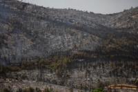 Kebakaran Hutan di Catalonia Spanyol Hanguskan 1.100 Hektar Hutan