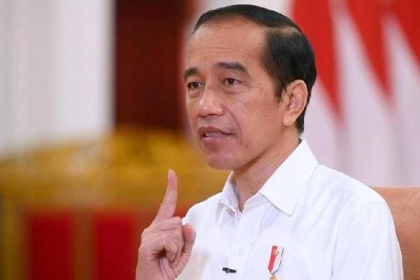 Jokowi: Jangan Paksa Papua dan NTT Tanam Padi