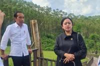 Bersama Jokowi, Puan Tinjau IKN Nusantara