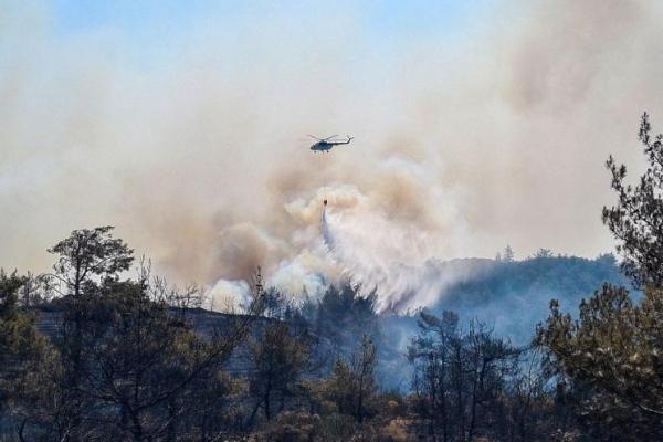 Masuki Hari Ketiga Kebakaran Hutan Masih Melanda Kawasan Pantai Turki