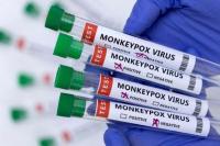 Cacar Monyet Kian Menyebar, Afrika Butuh Alat Tes dan Vaksin