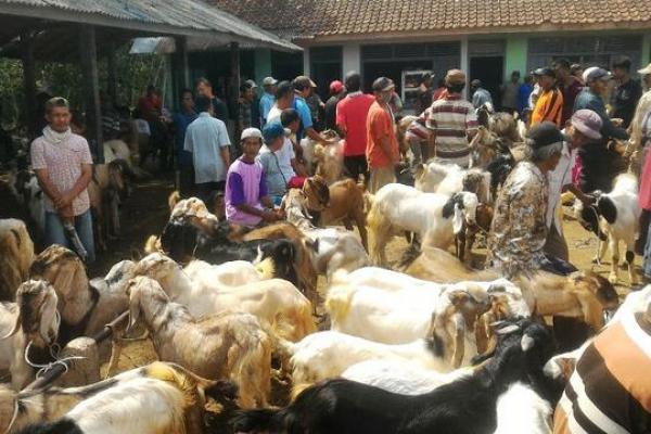 Sidang Isbat Putuskan Hari Raya Idul Adha Jatuh Pada 10 Juni 2022