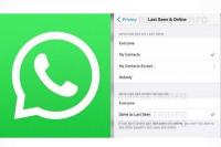 Fitur Baru WhatsApp Sembunyikan Status Online di Android hingga WhatsApp Web