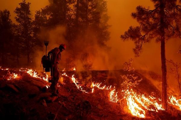 5 Kota Dievakuasi Saat Kebakaran Hebat di Spanyol Barat