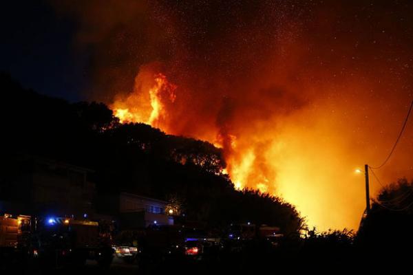 Kebakaran Hutan Lahap 1.700 Hektare Lahan di Prancis