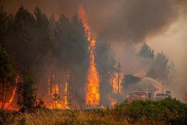 Kebakaran Hutan Mengamuk Lagi di Prancis, Ribuan Warga Dievakuasi