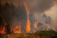 Hutan Terbakar Akibat Gelombang Panas di Prancis dan Spanyol, Ribuan Dievakuasi
