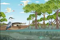 26 Juli Hari Mangrove Sedunia, 10 Kutipan Ini Cocok untuk Status di Medsos