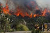 Selama Januari-Juli 2022 Lebih dari Seribu Hektar Lahan Terbakar di Riau
