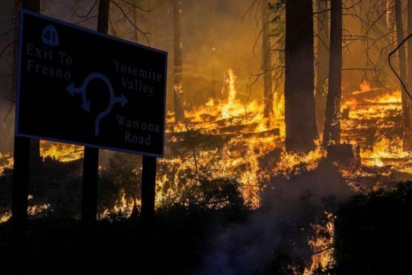 Kebakaran Hutan Hancurkan Cadangan Kredit Karbon Hutan California