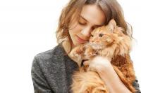 Hari Kucing Sedunia, 10 Kutipan Indah tentang Hewan Peliharaan yang Dikenal Manja