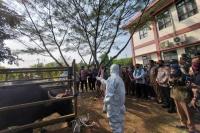 Dorong Zero PMK, Irjen Jan Samuel Pantau Langsung Vaksinasi PMK di Serang