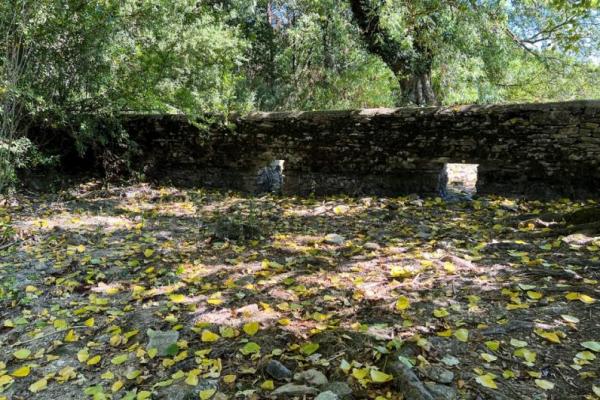 Sumber Mata Air Sungai Thames Inggris Mengalami Kekeringan Terparah