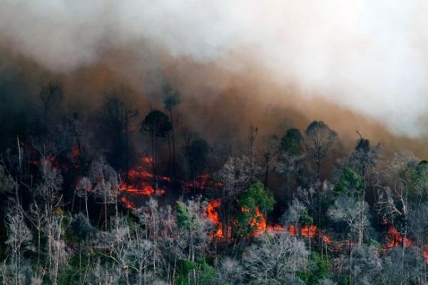 BMKG: Seluruh Wilayah NTT Sangat Mudah Terbakar