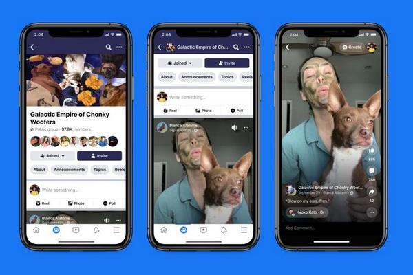 Tutorial Gampang Download Reels Facebook Tanpa Gunakan Aplikasi