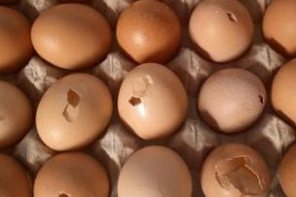 Imbas Kenaikan Harga, Kini Telur Retak Mulai Diincar Pembeli