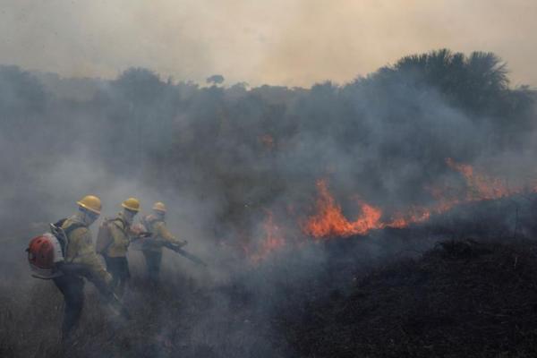 Hutan Amazon Brasil Mengalami Kebakaran Terparah Bulan Ini dalam 12 Tahun