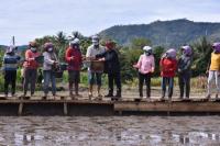 Puan Minta Pemerintah Bantu Petani Gagal Panen Akibat Banjir