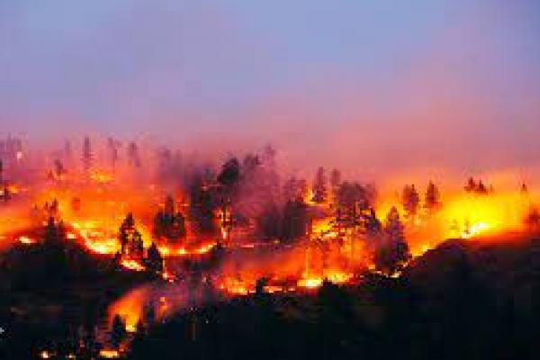 Kebakaran Hutan di Kazakhstan Utara, 1 Orang Tewas, Lebih dari 100 Rumah Rusak 