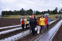 Survei: Mayoritas Pendukung Puan Maharani Warga Pedesaan