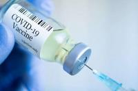 Vaksin Covid-19 Buatan Lokal Diharapkan Jadi Ujung Tombak Booster