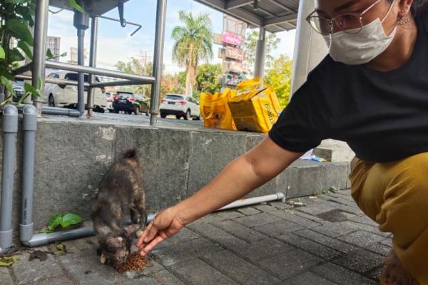 Pet Food Industry asal Indonesia Jajaki Perluasan Pasar di Negara-negara Muslim