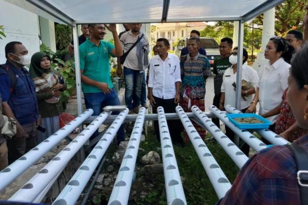 Kementan Kenalkan Hidroponik dan Bioflok untuk KWT di Kabupaten Kupang