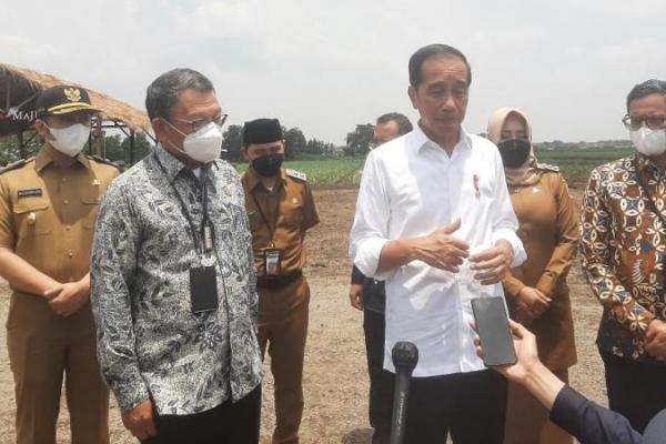 Jokowi Siapkan 700 Ribu Hektar Perkebunan Tebu Guna Capai Swasembada Gula