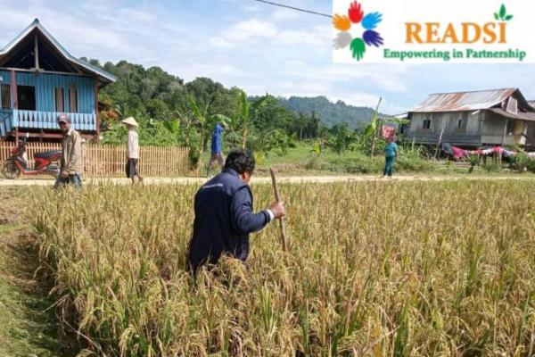 Program Kementan Tingkatkan Hasil Pertanian di Desa Galandau
