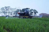 Lahan Pertanian di Jawa Menyusut, Food Estate Kalteng Perlu Dilanjutkan 