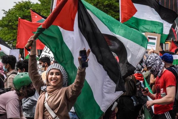 Ilustrasi gadis Palestina kibarkan bendera. (FOTO: AL JAZEERA) 