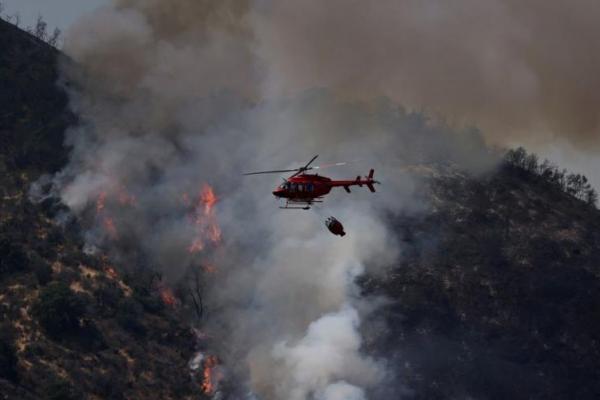 Gelombang Panas Chili Perburuk Kebakaran Hutan dan Kesehatan Masyarakat