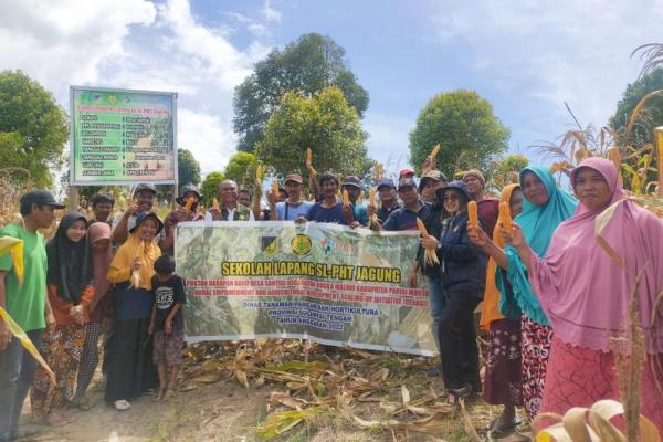 Melalui Sekolah Lapang Pengendali Hama Terpadu, Kementan Tingkatkan Kapasitas SDM di Sulteng