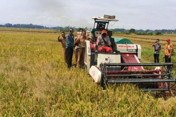 Stok Melimpah, Jatim Siap Pasok Beras ke Wilayah Lain