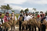 Stok Beras Jawa Barat 51.199 Ton, Siap Pasok ke Jabodetabek