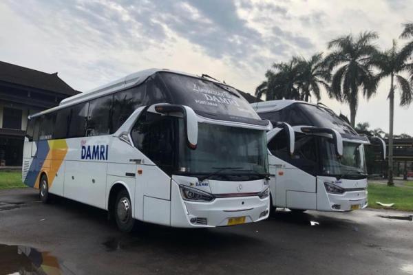 DAMRI Ubah Jadwal dan Tarif Bus Rute Pontianak-Kuching