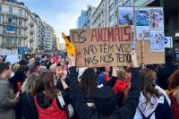 Di Tengah Sengketa Konstitusi Portugal, Ribuan Orang Protes Hak-hak Binatang