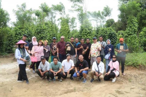 Produksi Lada di Kabupaten Belitung Semakin Pesat, Petani Sasar Peluang Ekapor