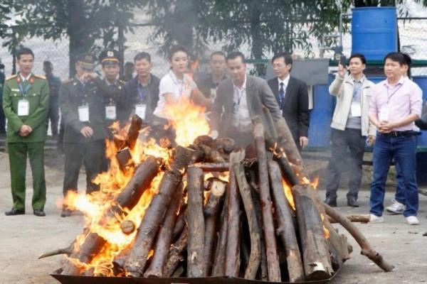 Vietnam Sita 600 kg Selundupan Gading Gajah dan Cula Badak dari Afrika