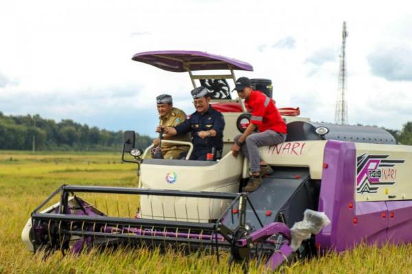 Mentan SYL Kawal Panen Raya Padi di Jateng, Produktivitas Hingga 7 Ton Per Hektar