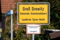 Jerman Laporkan Kasus Demam Babi Afrika di Peternakan