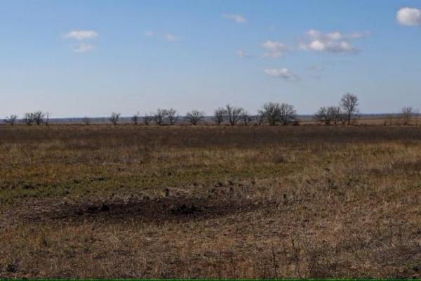 Tanah Bekas Perang: Warisan Beracun di Lumbung Ukraina