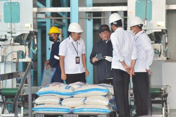 Perintah Jokowi ke Bulog: Serap Gabah Petani Sebanyak-banyaknya