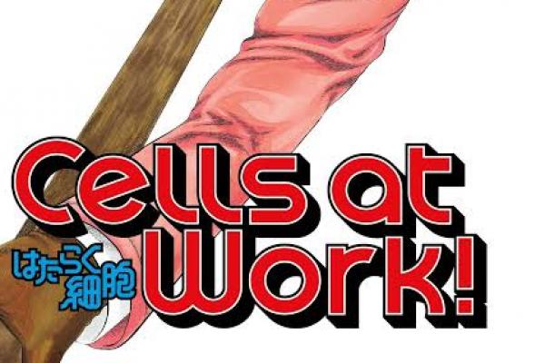 Manga Cells at Work! Akan Diadaptasi ke Film Live-Action