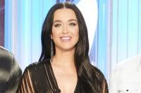 Katy Perry Habiskan Banyak Uang Demi Kulit Cokelat di Video Musik California Gurls