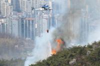 Kebakaran Hutan di Pusat Kota Seoul Memaksa 120 Rumah Dievakuasi
