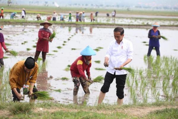 Presiden Jokowi didampingi Mentan SYL Lakukan Percepatan Tanam Padi di Tuban